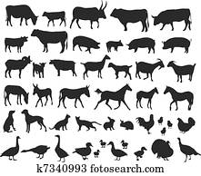 farm animals farm animals