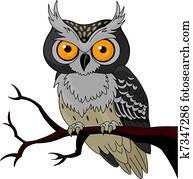 Night Owl Night Owl