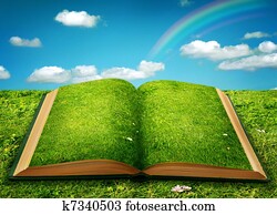 Open magic book Open magic book