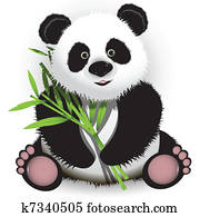 panda panda