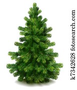 Pine tree