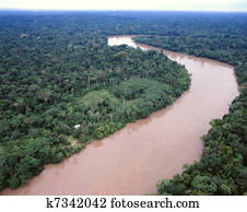 Primary tropical rainforest Primary tropical rainforest