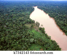 Primary tropical rainforest Primary tropical rainforest