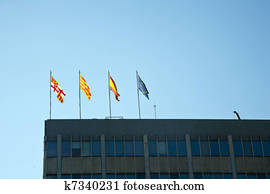 spain flags spain flags