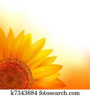 Sunflower Sunflower