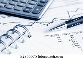 Empresa / Negocio, Contabilidad