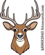 Deer Head Deer Head
