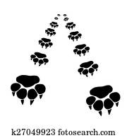 Footprints of a big cat Footprints of a big cat