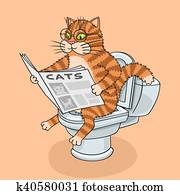 ה, חתול, ב, ה, toilet.