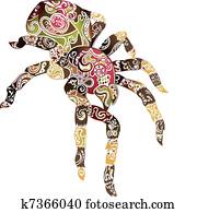 תקציר, עכביש