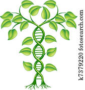 adn, planta, conceito