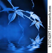 Green leaves reflected in rendered water