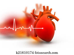 Human heart Human heart
