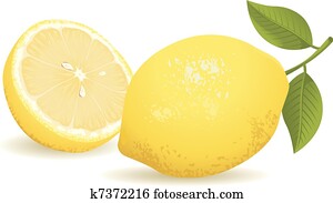 Lemon Fruit Lemon Fruit