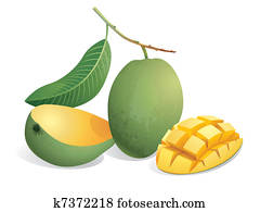 Mango Fruit Mango Fruit