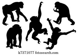 Monkey silhouettes collection Monkey silhouettes collection