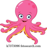 oktopus oktopus