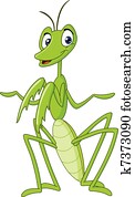 Praying mantis Praying mantis