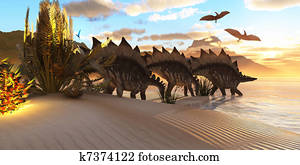 Stegosaurus Dinosaur Stegosaurus Dinosaur