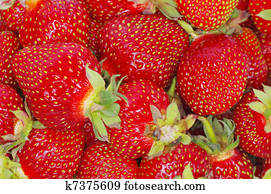 strawberry texture strawberry texture