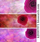 amor, y, corazones, sitio web, banderas