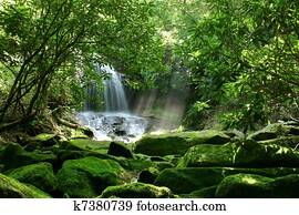 floresta amazônica, cachoeira