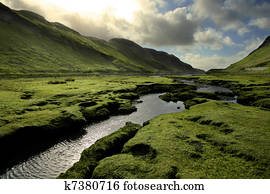 Green Scotland Valley in Spring