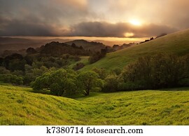 nebuloso, califórnia, prado, pôr do sol