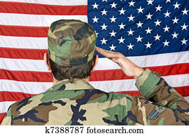 saudando, bandeira americana