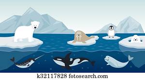 Arctic Animals Character and Background Arctic Animals Character and Background