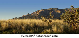 Desert Scenics: Sandia Mountains in Golden Light
