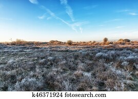 Nature Backgrounds, Dutch Coastal Feature at Winter