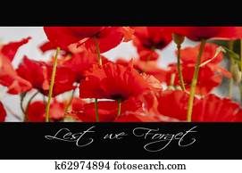 Remembrance day background Remembrance day background