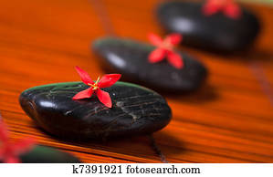 Row of black rocks with red flowers Row of black rocks with red flowers