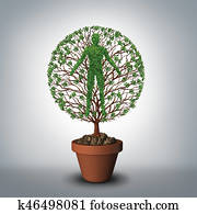Tree Of Life Tree Of Life
