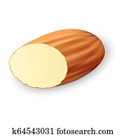 Almond Stock Illustrations. 901 almond clip art images and royalty free