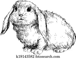 hand drawn rabbit hand drawn rabbit
