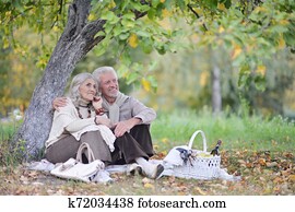 porträt, von, ältere paare, haben picknick, draußen