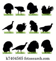 Turkey Silhouettes Set Turkey Silhouettes Set