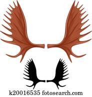 horns of moose horns of moose