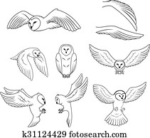 Owl Owl