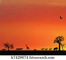 illustraion of animals in sunset in africa illustraion of animals in sunset in africa