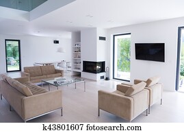 luxury living room luxury living room