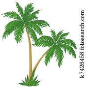 palmträdar