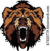 urso pardo, mascote, cabeça, vetorial, gra