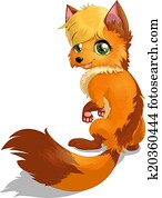 fox fox
