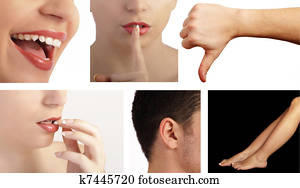 Body parts collage Body parts collage