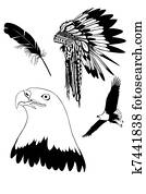 Feathers of an eagle Feathers of an eagle