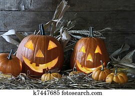 Halloween pumpkins in the barn Halloween pumpkins in the barn
