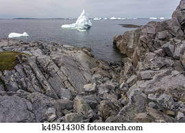 icebergs and rocky Newfoundland coastline